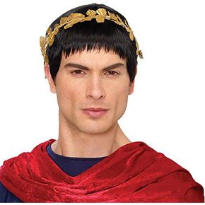 Men's Caesar Wig, Black, One Size