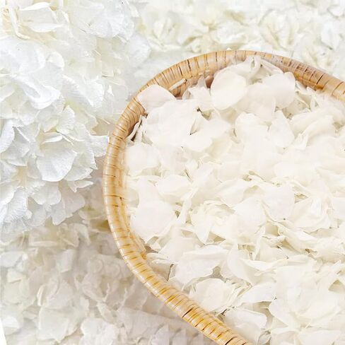 1500pcs Real Dried Ivory White Hydrangea Flower Petals, Natural Dried Petals for Wedding Decor, Valentine's Day, Proposal & Romantic Night, Flower Girl Baskets, Craft & DIY Projects (1.06oz/30g) in Saudi Arabia