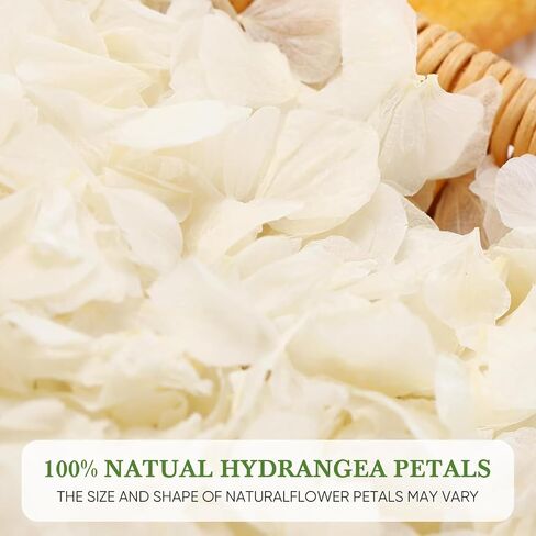 1500pcs حقيقية مجففة العاج البيضاء البيضاء الزهرة بتلات ، بتلات مجففة طبيعية لديكور الزفاف ، يوم عيد الحب ، الاقتراح والليلة الرومانسية ، سلال فتاة الزهور ، حرفة و DIY مشاريع (1.06 أوقية/30 جم) in Kuwait