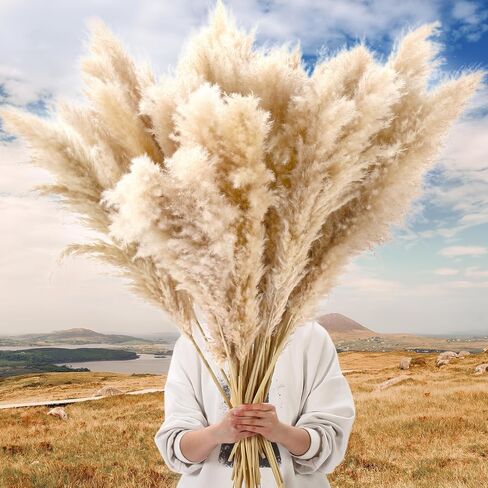 Tigeen 50 Pcs 40 Inch Tall Pampas Grass Stems Beige Fluffy Natural Dried Pampas Grass Floral Decor, Bouquet for Floor Vase, Wedding Floral Arrangements, Party, Farmhouse, Boho Home Decor in Saudi Arabia