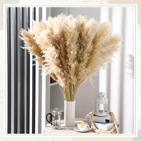 Tigeen 50 Pcs 40 Inch Tall Pampas Grass Stems Beige Fluffy Natural Dried Pampas Grass Floral Decor, Bouquet for Floor Vase, Wedding Floral Arrangements, Party, Farmhouse, Boho Home Decor in Saudi Arabia