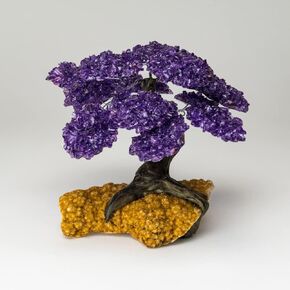 Genuine Amethyst Clustered Gemstone Tree on Citrine Matrix (7 inches) (The Empowerment Tree)