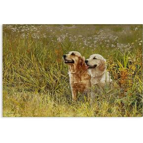 Fustell Industries Happy Dogs Field Day Canvas Wall Art ، Design by Sueellen Ross ، 36 × 24