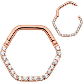 365 Sleepers Titanium Implant Grade 16G Gem Hexagonal Septum Jewelry Hinged Segment Ring Body Piercing Hoop Lip Rings Helix Cartilage Rook Sleeper Earrings 8mm – 10mm in Kuwait