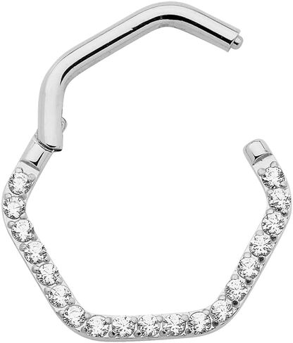 365 Sleepers Titanium Implant Grade 16G Gem Hexagonal Septum Jewelry Hinged Segment Ring Body Piercing Hoop Lip Rings Helix Cartilage Rook Sleeper Earrings 8mm – 10mm in Saudi Arabia