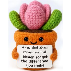 Handmade Crochet Succulent Plush Appreciation Gift for Teachers, Coworkers, Nurses, Friends – Encouragement and Thank You Gift for Graduation Retirement Farewell Going Away Goodbye Leaving