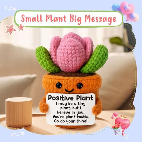 Funny Leaving Gifts for Women Men | Crochet Succulent with Humor Message | Cute Office Desk Decor, Novelty Coworker Friend Farewell Retirement Gag Gift Heartbreak,Goodbye Breakup in Saudi Arabia