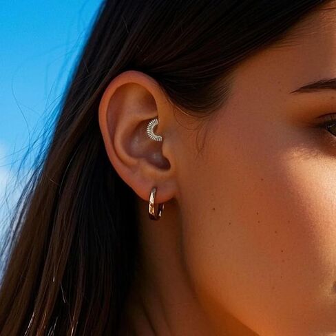 16g G23 Titanium Septum Rings: Novelty Nose Ring Hoops, Hinged Segment Nose Lips Helix Cartilage Clicker Hoop Earrings Daith Piercing Rings for Women Men 8mm 10mm in Saudi Arabia