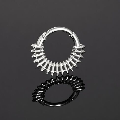 16g G23 Titanium Septum Rings: Novelty Nose Ring Hoops, Hinged Segment Nose Lips Helix Cartilage Clicker Hoop Earrings Daith Piercing Rings for Women Men 8mm 10mm in Saudi Arabia
