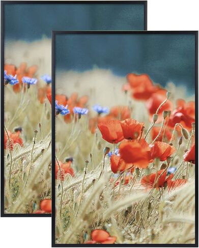 Golden State Art, 12x18 Aluminum Poster Frame Black, Metal Picture Frames 12 x 18 for Horizontal or Vertical Wall Mount, Acrylic Front Gallery Artwork Thin Frame, 1 Pack in Kuwait