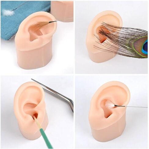 Simulation Silicone Ears Model, Fake Body Parts Displays for Piercing Practice, Dark Skin Teaching Aid for Medical Classes with Canal,Jewelry Display Earrings Teaching Tool (Right 6007706 00 D) in Saudi Arabia