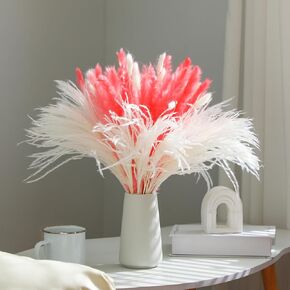480 Pcs Pink Pampas Grass Decor for Table Centerpieces Natural Dried Pampas Bunny Tails Reed Grass Bouquet for Vase Filler Flower Arrangement Wedding Rustic Farmhouse Decor
