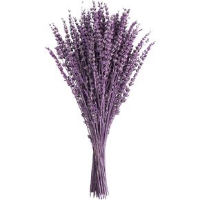 Uieke Dried Lavender Flowers Bundles, 16" Dried Purple Preserved Lavender Stems Bouquet for Shower Weeding Home Fragrance Vase Crafts Decor, 100g(3.52oz)