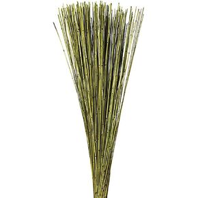 Vickerman 30" Natural Marsh Reed Bundle Tied with Rafia, 10 oz, Dried