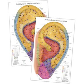Ultimate Auriculotherapy Reference Card - Waterproof, 2-Sided Ear Points & Nogier Frequency Zones - Durable 8.5x14" Chart for Acupuncture & Wellness