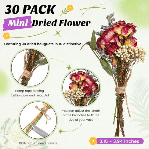 Nuanchu 30 Pcs Mini Dried Floral Flower Brazilian Daisy Bouquets Dried Embossing Flowers with Stem for Vase, Wedding, Fall, DIY Scrapbook Card Party Decor (Fall) in Saudi Arabia
