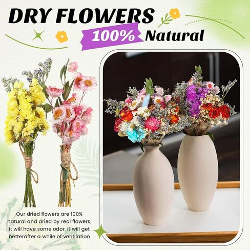 Nuanchu 30 Pcs Mini Dried Floral Flower Brazilian Daisy Bouquets Dried Embossing Flowers with Stem for Vase, Wedding, Fall, DIY Scrapbook Card Party Decor (Fall) in Saudi Arabia