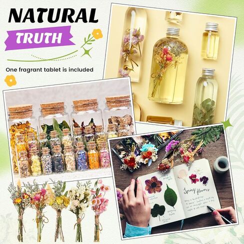 Nuanchu 30 Pcs Mini Dried Floral Flower Brazilian Daisy Bouquets Dried Embossing Flowers with Stem for Vase, Wedding, Fall, DIY Scrapbook Card Party Decor (Fall) in Saudi Arabia