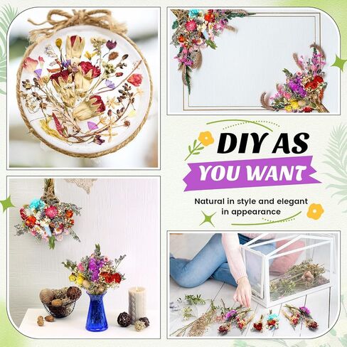 Nuanchu 30 Pcs Mini Dried Floral Flower Brazilian Daisy Bouquets Dried Embossing Flowers with Stem for Vase, Wedding, Fall, DIY Scrapbook Card Party Decor (Fall) in Saudi Arabia