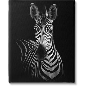 Stupell Industries Striking Greyscale Monochrome Zebra Photography Portrait,Design by Incado