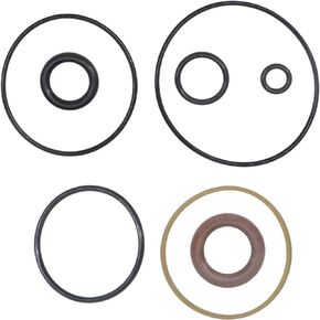 5008985 Trim Piston Repair Seal Kit Replacement for 2004-2012 Evinrude 75-115HP ETEC FSM016 Replaces 5008773 5008949