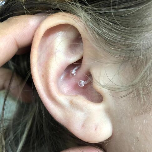 D.Bella Clear Cartilage Earring Retainer 16G 14G Piercing Retainers 24Pcs Flexible Acrylic Helix Hoop Bioflex Nose Lip Stud Eyebrow Tragus Septum Horseshoe Rings Body Jewelry in Saudi Arabia