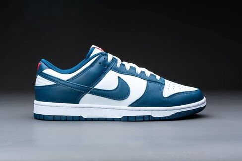 Nike Mens Dunk Low Retro SE DO9776 001 Certified Fresh - Size 12 in Saudi Arabia