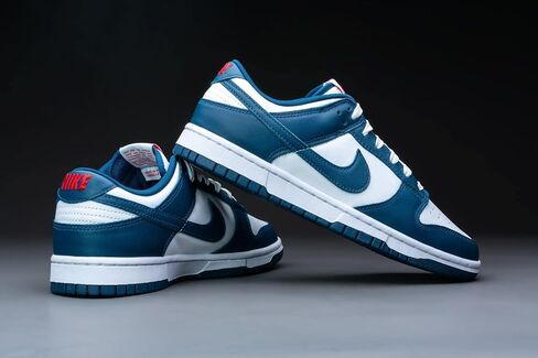 Nike Mens Dunk Low Retro SE DO9776 001 Certified Fresh - Size 12 in Saudi Arabia