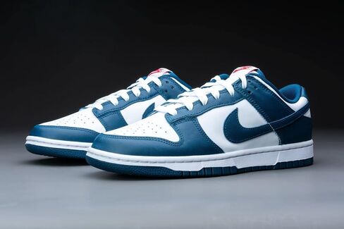 Nike Mens Dunk Low Retro SE DO9776 001 Certified Fresh - Size 12 in Saudi Arabia