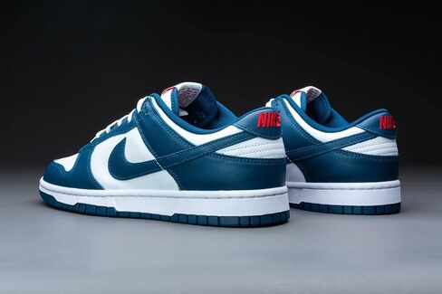 Nike Mens Dunk Low Retro SE DO9776 001 Certified Fresh - Size 12 in Saudi Arabia