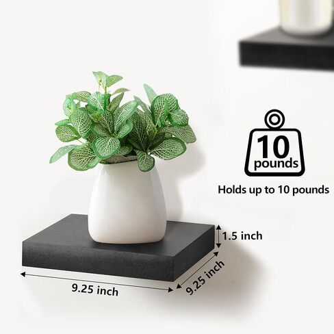 Sorbus Square Floating Shelf for Wall - 3 Small Shelves with Invisible Mounting Brackets for Living Room Decor, Bedroom, Bathroom Decor, Home & Kitchen - 9" White Wall Shelf to Display Photos Trophies in Saudi Arabia