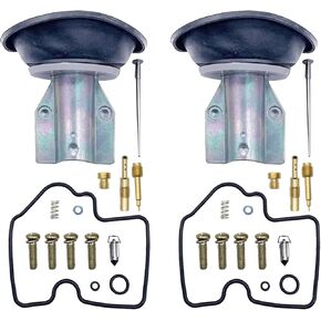 2 Pack Automatic Carburetor Rebuild Repair Kit with Plunger Compatible With Arctic Cat 650 V2 2004-2006 Models