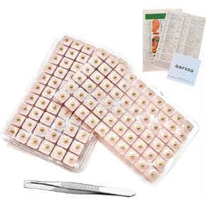 Ear Seeds Acupuncture Kit - 300 Pieces - 2mm Big Ear Seeds, with Bonus Free Chart and Tweezers - for Balance & Wellness