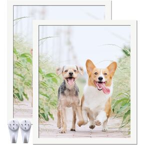 20x24 Picture Frame Set of 2, Black Photo Frames High Transparent Wall Gallery Desktop Horizontal Vertical for Canvas Collage Photo Poster Certificate 20 x 24 inches