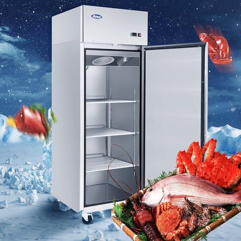Commercial Refrigerator Freezer,ATOSA MBF8001 Single 1-Door Top Mount Stainless Steel Reach In Commercial Refrigerators Freezer For Restaurant Kitchen 22.6 cu.ft -10℉—0℉ in Kuwait