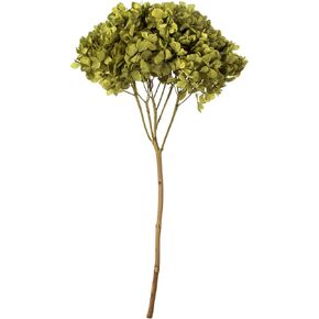 Vickerman Brown Hydrangea 15" Long Stem, Real Preserved Dried Floral Decor for Wedding, Home or Everyday Arrangements