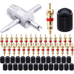 100pcs صمامات الإطارات ، النحاس Schrader Tyre Valve Cores Universal لمعظم الدراجات النارية لتكييف الهواء ، استبدال الإطارات