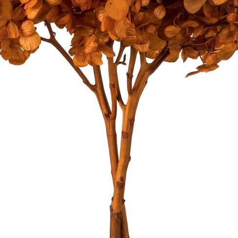 Vickerman Brown Hydrangea 15" Long Stem, Real Preserved Dried Floral Decor for Wedding, Home or Everyday Arrangements in Saudi Arabia