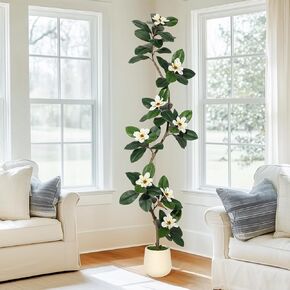 Rubber Tree 6FT Artificial Tree in White Planter Pot,Faux Plants Indoor Faux Floor Plant Artificial Plants with 7 Pcs Magnolia Flowers for Home Decor, Artificial Fiddle Leaf Fig Tree for Office