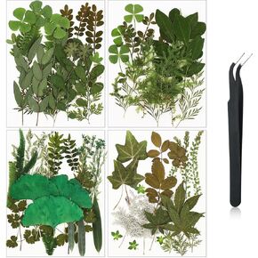 Nuanchu Dried Leaves Bulk Greenery Pressed Leaves for Crafts Resin Mold Scrapbooking Candle Making DIY Assorted Natural Decoration with Tweezer