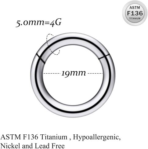 Ruifan Titanium Nose Rings Hoops Septum Rings Nose Clicker Ring Gauges PA Lip Tragus Helix Cartilage Daith Rook Sleeper Earring Body Piercing Jewerly for Women Men 20G 18G 16G 14G 8G 6G 4G 2G 6MM-19MM in Saudi Arabia