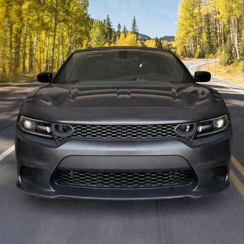 KEWISAUTO Front Bumper Grille Inserts for 2015-2021 Dodge Charger SRT, Front Bumper Center Grill Inserts Mesh Trim Cover for 2015-2021 Dodge Charger SRT/R/T/Scat Pack/Daytona Accessories in Saudi Arabia