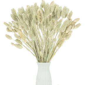 Dried Flowers - 50pcs Natural Dried Flower Bouquet Gem Grass for Home Pampas Grass Rustic Wedding Western Room Bedroom Table House Desk Kitchen Decor and Flower Arrangements(Primary Color)