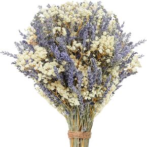 2700 Pcs Dried Lavender with Baby's Breath Flowers Bundles Real Dried Lavender Bouquet Natural Gypsophila for Vase Decorations Wedding Party Valentines Photography Arrangements DIY