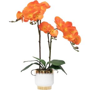 CXGS Orchids Artificial Flowers Real Touch Fake Flowers in Ceramic Pot 20" Red Faux Orchid Plant Lifelike Silk Phalaenopsis for Centerpiece Hotel Home Indoor Decor