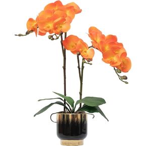 CXGS Orchids Artificial Flowers Real Touch Fake Flowers in Ceramic Pot 20" Red Faux Orchid Plant Lifelike Silk Phalaenopsis for Centerpiece Hotel Home Indoor Decor in Saudi Arabia