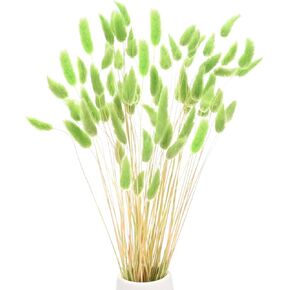 60-Pack Bunny Tails Grass 17 Inch Fluffy Rabbit Tail Grass Dried Flowers Branches Vase Filler Dried Pampas Grass Decor for Home/Wedding/Vase/Office/Party [Golden Yellow]