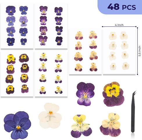 48 PCS Pansy Pressed Flowers للحرف اليدوية ، الزهور المجففة الأرجواني للراتنج ، مجموعة كبيرة من السجمية الطبيعية JONTH JUMP-UP لـ DIY ، كتب القصاصات ، صنع الصابون ، تزيين الكيك ، زخرفة الزفاف in Kuwait