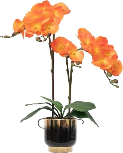 CXGS Orchids الزهور الاصطناعية زهور حقيقية مزيفة في وعاء السيراميك 20 "Red Faux Orchid Plant Lifelelik in Kuwait