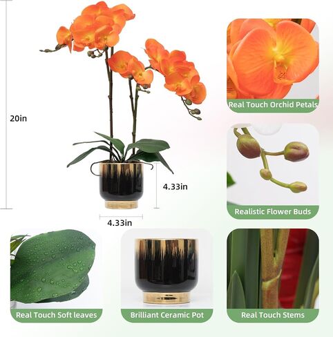CXGS Orchids الزهور الاصطناعية زهور حقيقية مزيفة في وعاء السيراميك 20 "Red Faux Orchid Plant Lifelelik in Kuwait